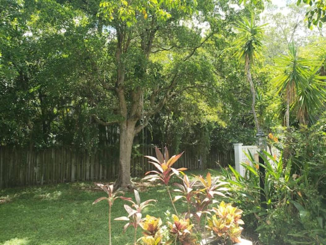Apts With Backyard Near Fort Lauderdale Beach, Nightlife, Cruise Port, Airport Экстерьер фото